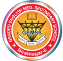 GEMSS